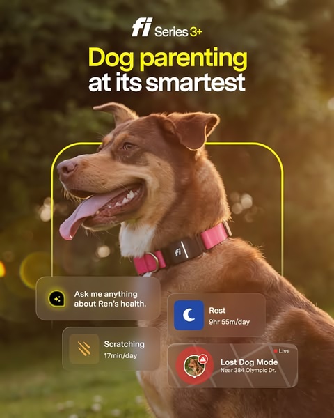 A 4:5 vertical ad featuring a dog wearing a smart collar with UI overlays displaying health data like rest time, scratching frequency, and location tracking.